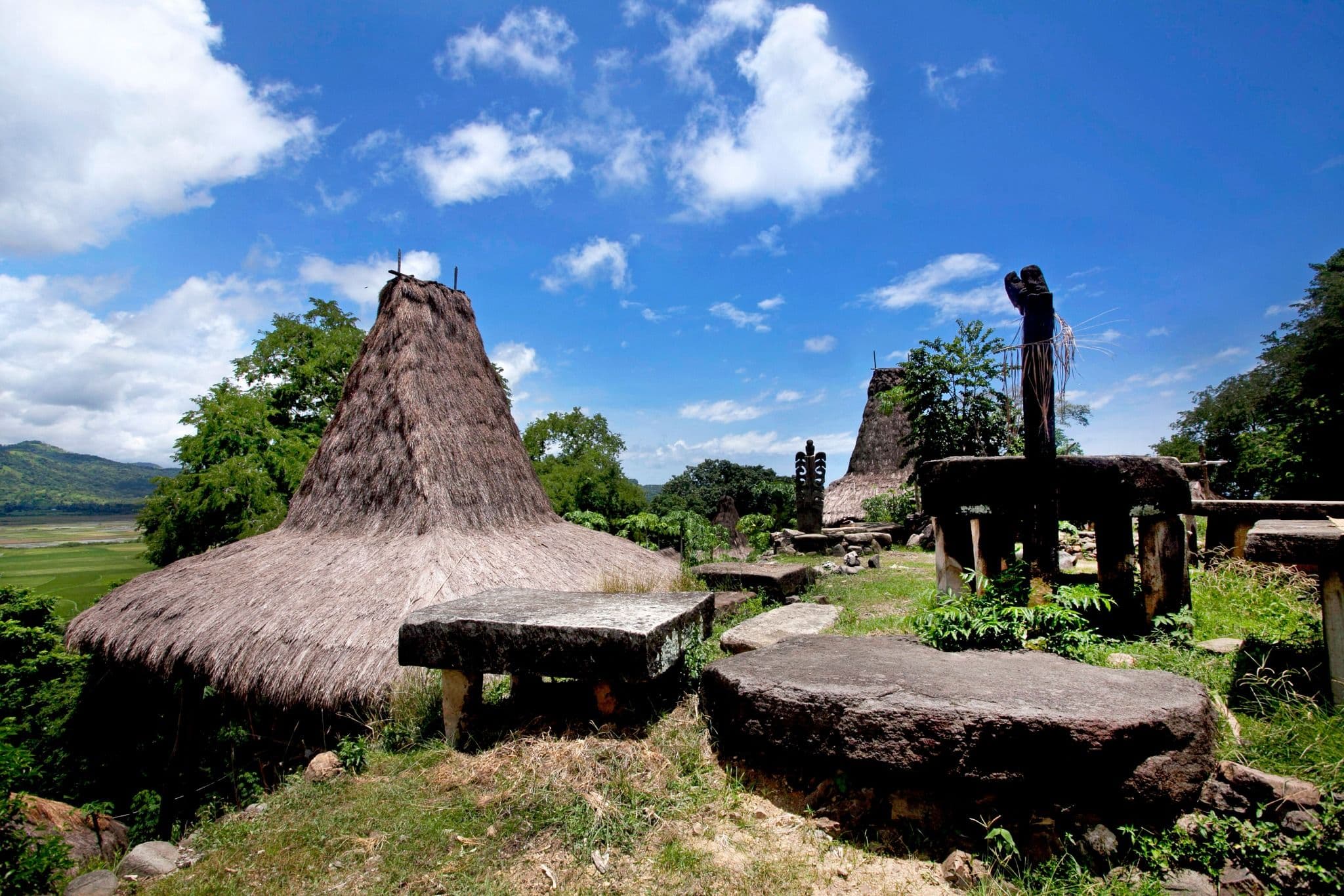 Traditional Sumbanese village with high thatched houses and stone tombs beneath a bright tropical sky